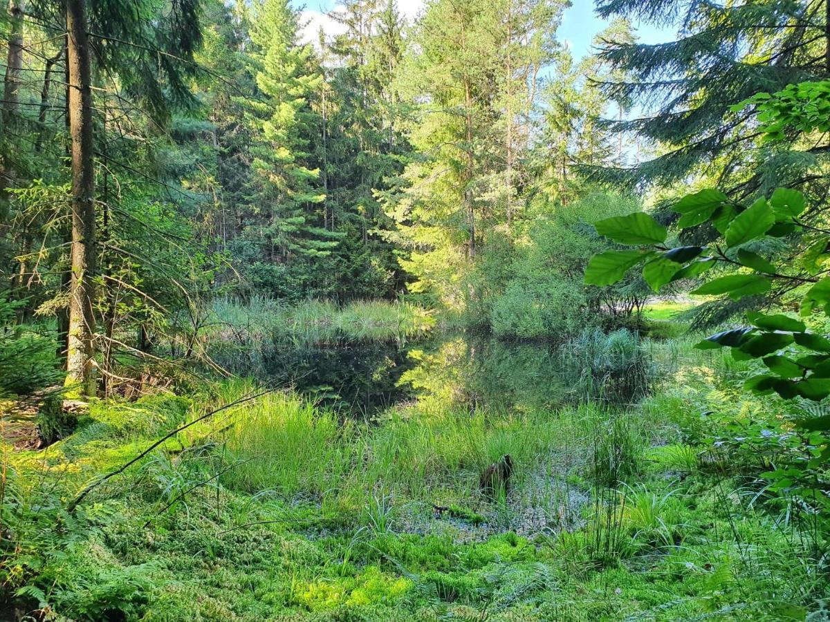 Odenwald-Lodge Mit Infrarotsauna Und E-Ladestation Im Naturpark Odenwald "Haus Himmelblau" Reichelsheim المظهر الخارجي الصورة