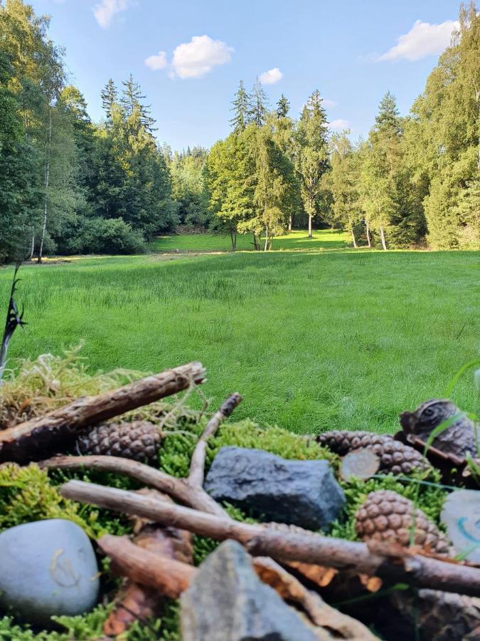 Odenwald-Lodge Mit Infrarotsauna Und E-Ladestation Im Naturpark Odenwald "Haus Himmelblau" Reichelsheim المظهر الخارجي الصورة